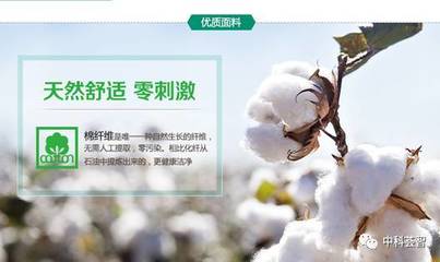 一朵棉花，一個國牌 醫用敷料OEM的國民品牌轉型與資本之路